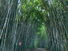 -海南热带野生动植物园