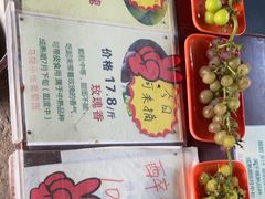 -马陆小张葡萄园农家乐