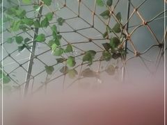 -云南巷海鲜大咖·可加工海鲜