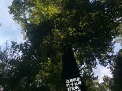 -西湖风景区十里琅珰-五云山