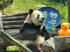 -大连森林动物园