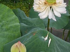 -云溪植物园