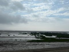 -启东黄金海滩景区