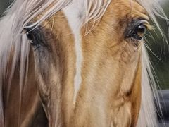 -福禧酒窖·中餐厅 (万柳店)