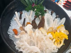 野生菌拼盘-纯味斑鱼府(中海环宇荟店)