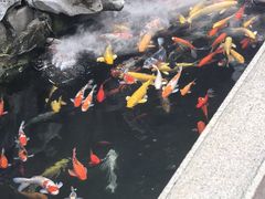 -西林禅寺