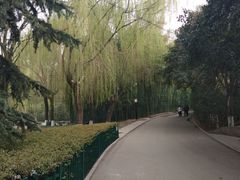 -西安市长乐公园