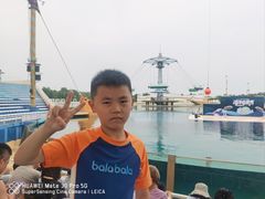 -秦皇岛乐岛海洋王国