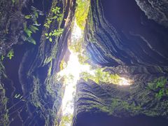 -梭布垭石林景区