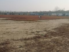 -盐城丹顶鹤湿地生态旅游区