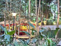 -二荆条·蜀鲜汇城市森林火锅