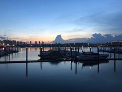 -五缘湾湿地公园