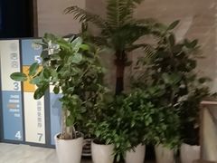 -唐宫足道·SPA·住宿24H会所(木渎店)