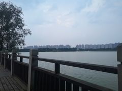 -洋湖国家湿地公园