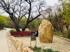 -北京西山国家森林公园