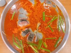 -新凯里酸汤鱼(飞山街店)
