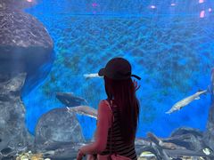 -福州罗源湾海洋世界旅游区