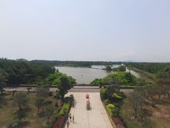 -大湾区中央湿地公园