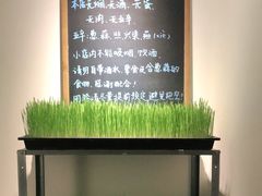 -朵朵开素食餐厅(后宰门街店)