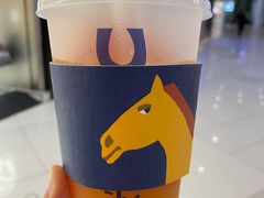-春丽小马(济南恒隆广场店)