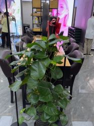 -藤野造型烫染·漂发