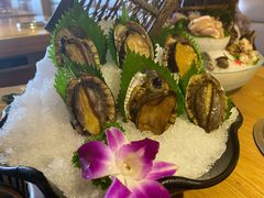 小鲍鱼-尚海豆捞(乐虹坊店)