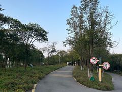 -西安浐灞国家湿地公园