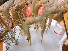 明虾-尚海豆捞(乐虹坊店)