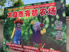 -大自然农场蔬菜草莓采摘园
