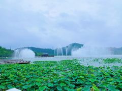 -顺峰山公园