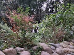 -成都市活水公园