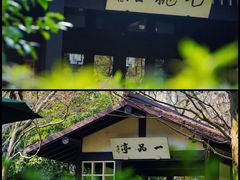 -中国茶叶博物馆(双峰馆区)