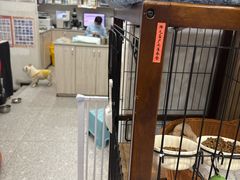 -四月宠物医院·猫专科·心脏专科·内科(转塘店)