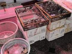 -华阳海鲜市场(府西路店)