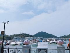 -三亚游船旅游中心(三亚鹿回头游艇游船公共码头店)