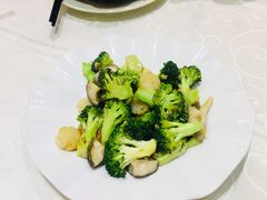 -凤城礼记鱼翅海鲜酒家(新马路总店)