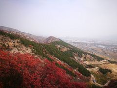 -博山九龙峪风景区