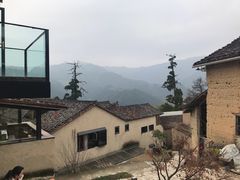 -杨家堂村