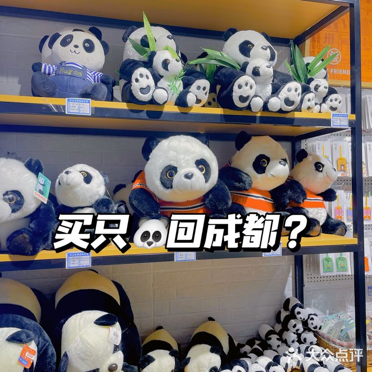 跟着王一博打卡乐山｜文创店也内卷❓