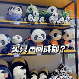跟着王一博打卡乐山｜文创店也内卷❓