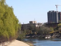 -桃花堤公园