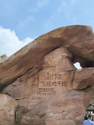 -翱翔飞越地平线