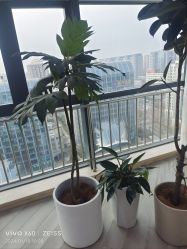 -HEYAN荷妍专业脱毛连锁机构