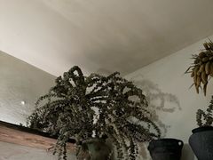 -甘婆婆醪糟汤圆