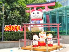 -金虹桥商场