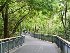-金鸡山公园