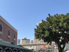 -澳门威尼斯人综合度假区