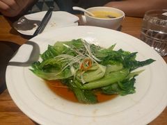 白灼生菜-花舍·新派粤菜·西餐·下午茶(亚运村·鸟巢店)