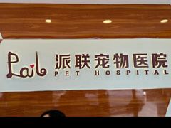 -派联宠物医院·24h·CT·异宠