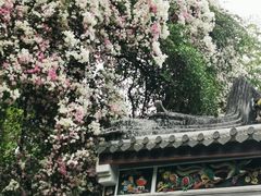 -深圳国际园林花卉博览园